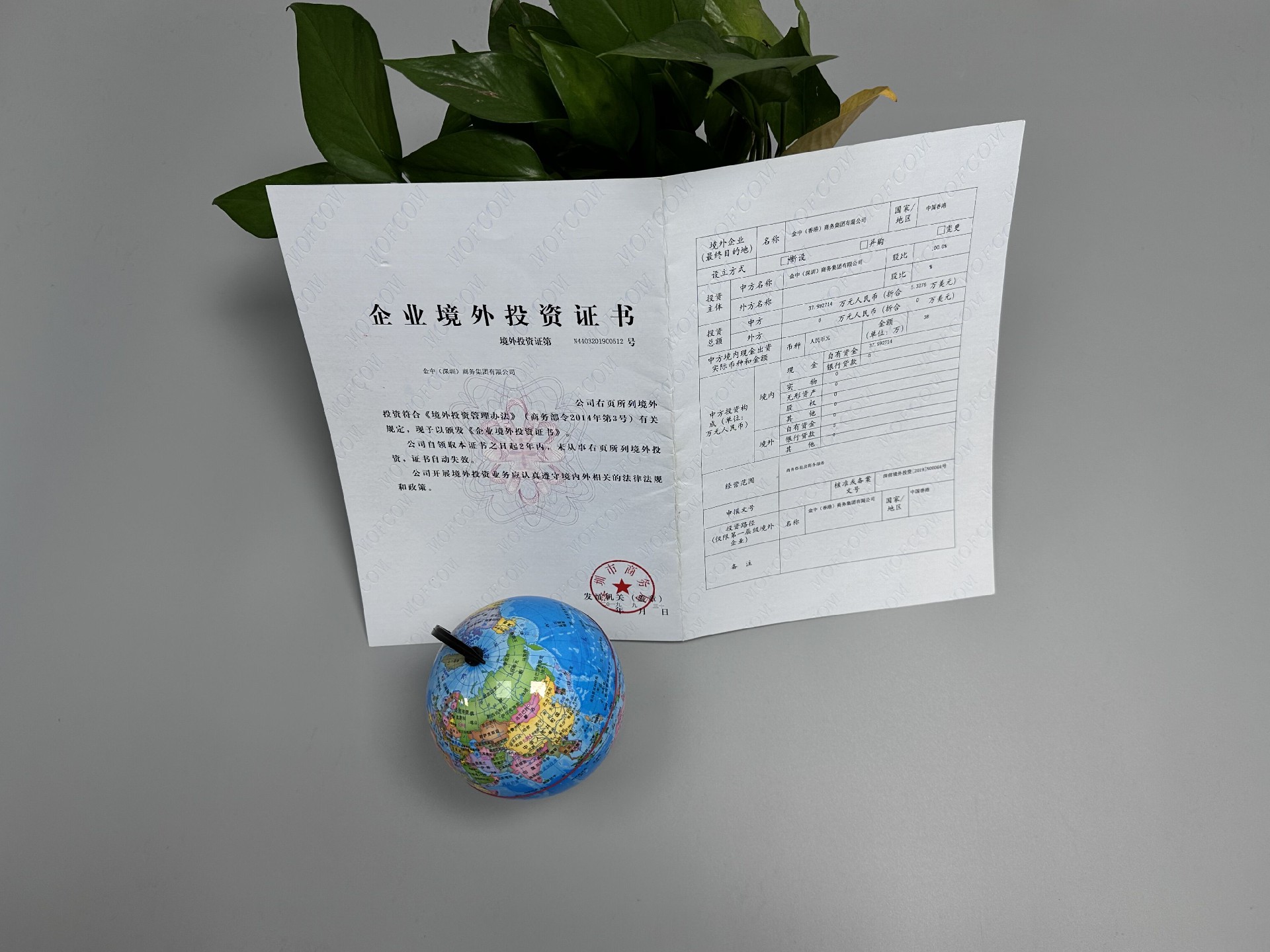 企业境外投资