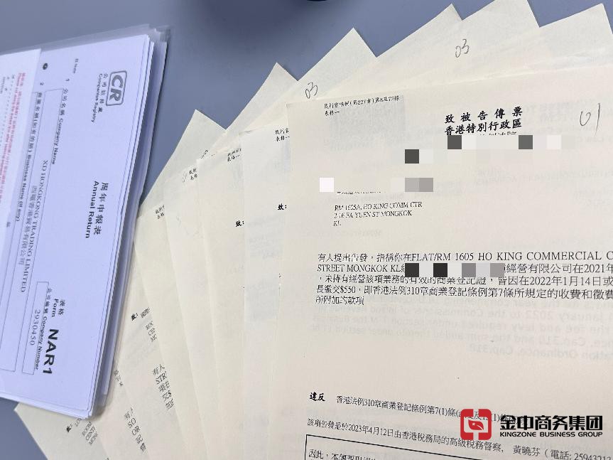 香港公司年审