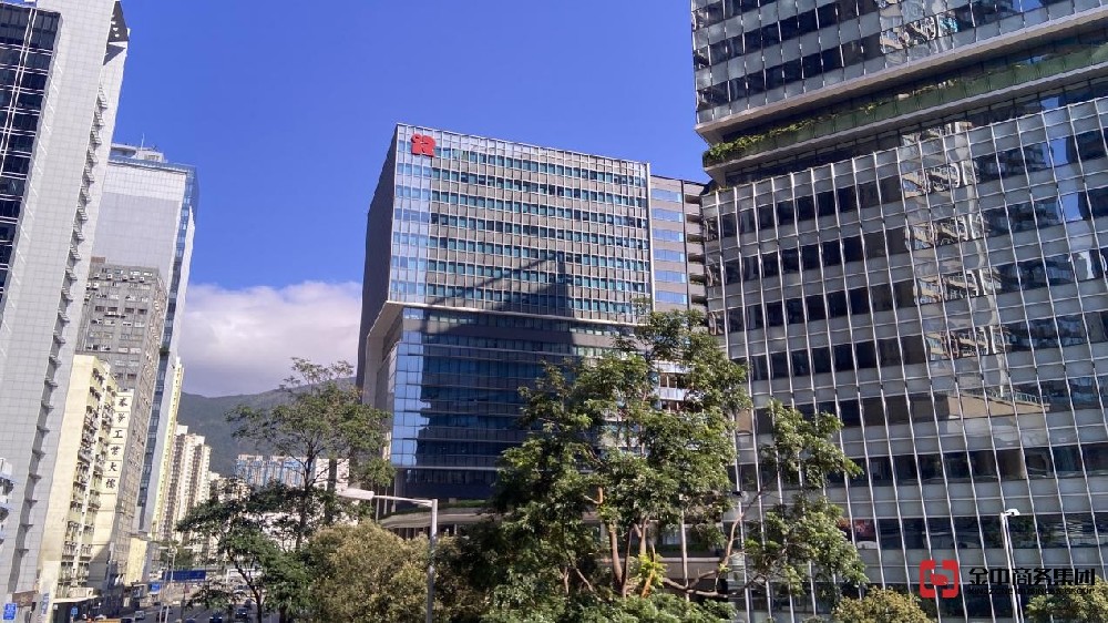香港公司审计中的审计意见代表什么？