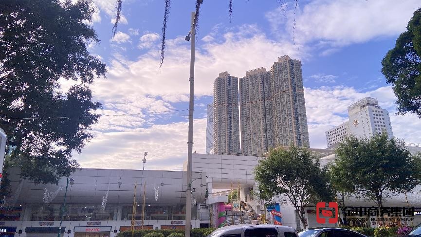 香港公司审计