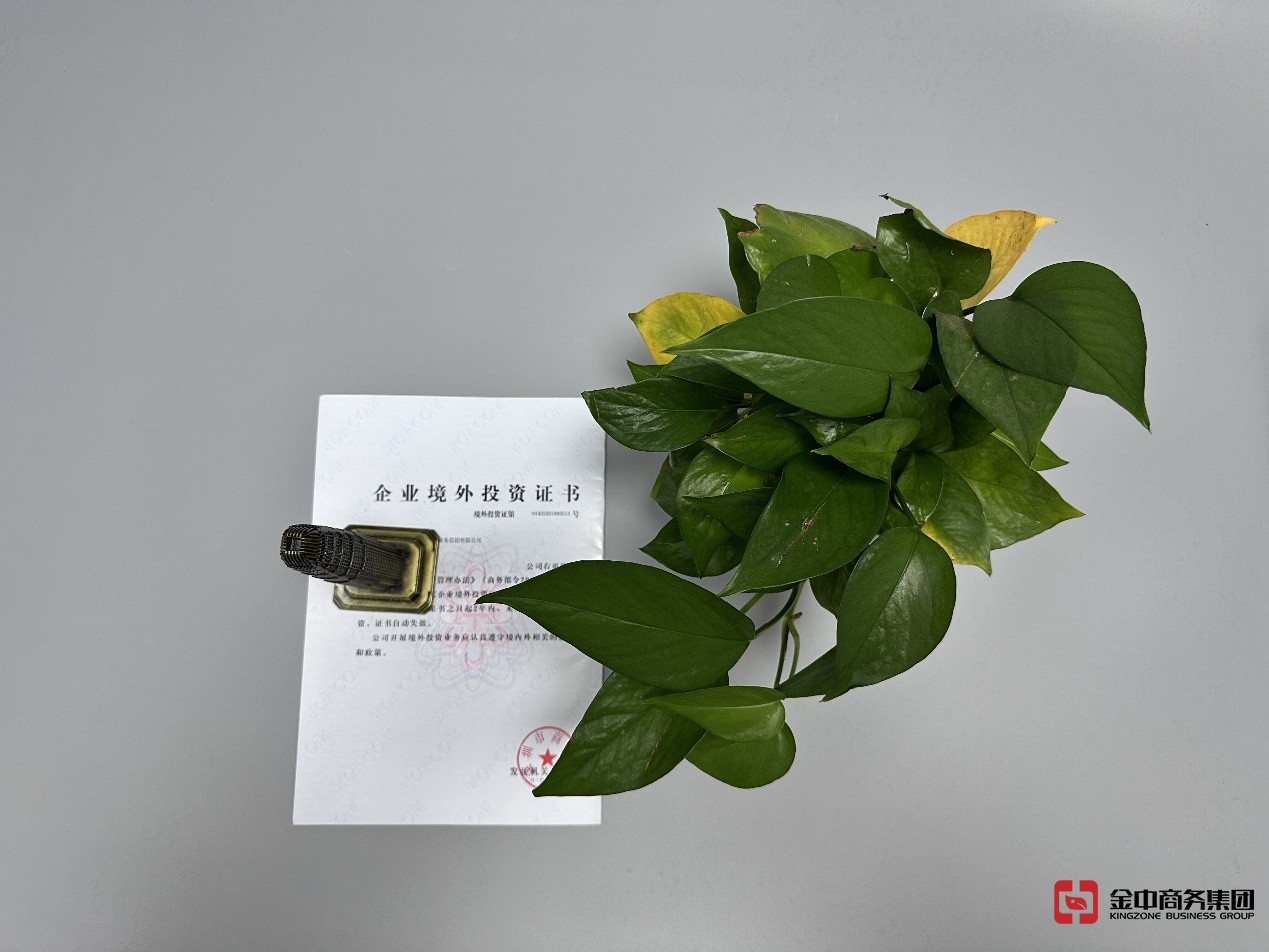 东南亚ODI备案